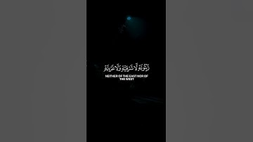 اكتب شيء تؤجر عليه/ياسر الدوسري/سورة النور