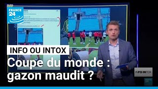 Coupe Du Monde Gazon Maudit ? France 24