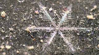 Damian Video Project - Winter.