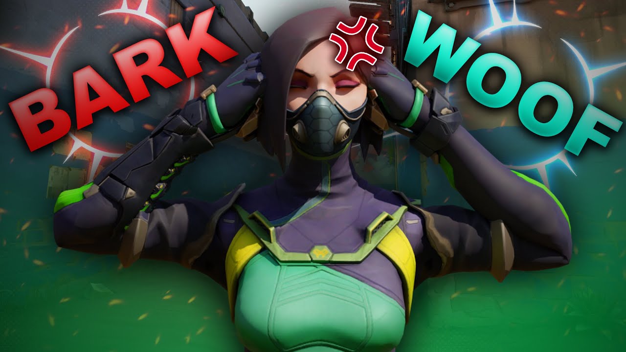 Valorant Strats that make us BARK!!