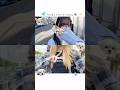 最近流行りのSetlogで合流vlog〜🩵🤍 #setlog #韓国 #vlog