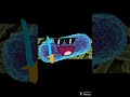 bacterroberto canta me lo comí @BiologiaDesdeCero