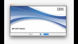 How to code questionnaire on  SPSS Wealth