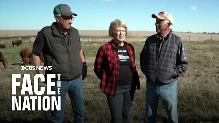 U.S. soybean farmers hope for China trade deal as ranchers grapple with Trump's plan to import beef