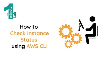 AWS SAA-C02 | How to Check Instance Status using AWS CLI | AWS Labs | OneMinuteLab
