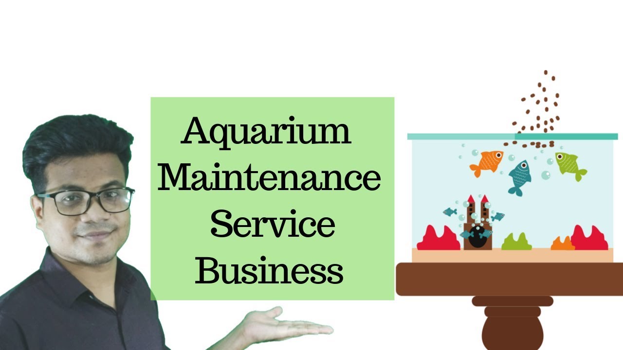 Profitable Business Ideas 1 An Aquarium Maintenance Service Startup