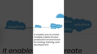 What is a sandbox in salesforce