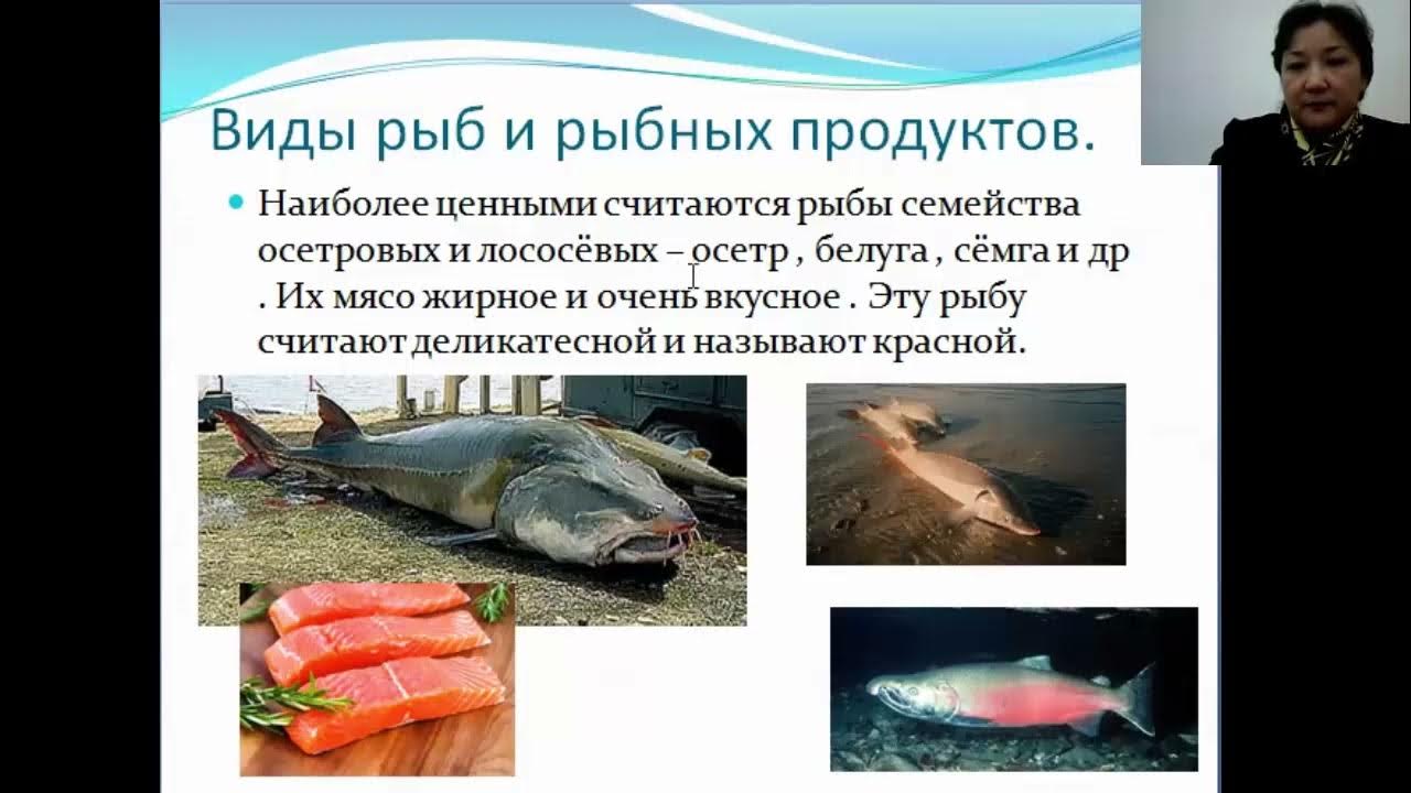 Осетровые и лососевые рыбы. Виды рыбных продуктов. Виды рыбы и рыбных продуктов. Виды рыб презентация.