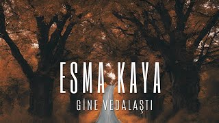 Esma KAYA - GİNE VEDALAŞTI Resimi