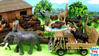 taking care animals fun playsets