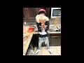 [FREE] Lil 6 x Sample Dallas Drill Type Beat - "XO Tour Life"