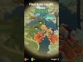 Hydra caught in ninja fishing