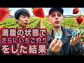 人間は満腹の状態からいちご狩りは可能なのか。ブラス君にいちご連続10本ノックをした。