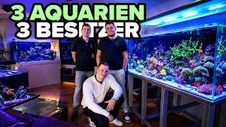 3 AQUARIEN - 3 BESITZER... DAS zeigt, wie unterschiedlich Aquaristik wirklich ist!
