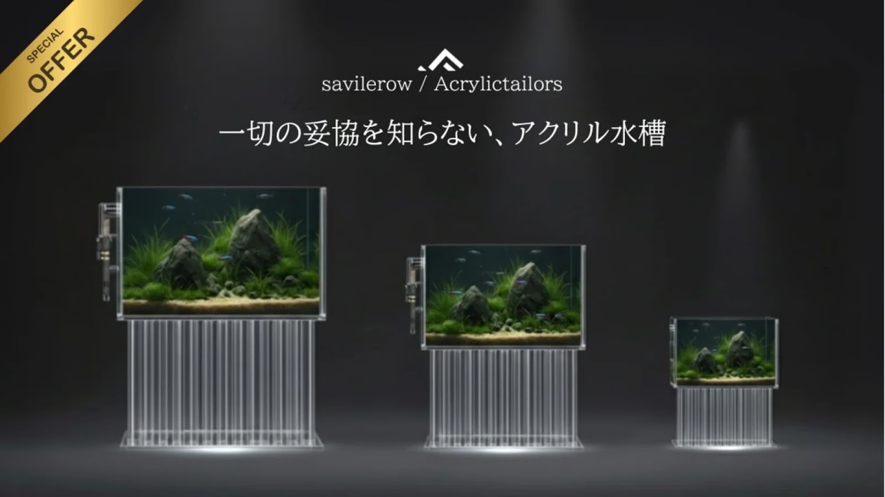 2025-05 サヴィルロウアクリルテーラーズ / 2025グッドアクアリウム