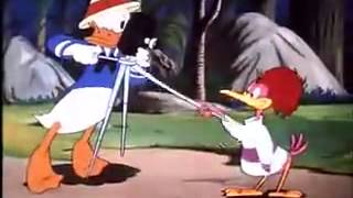 Donald Duck Cartoons Full Episodes Donald Duck Clown Of The Jungle NEW video!