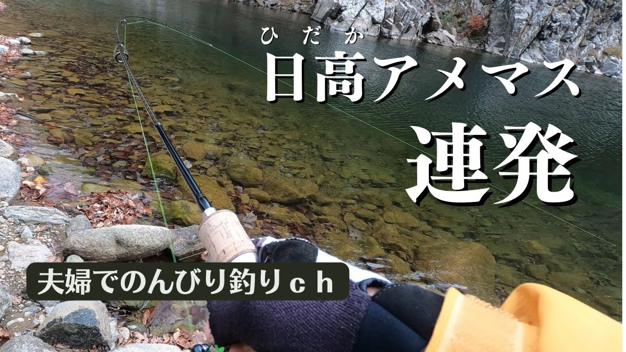 この川、アメマス濃いぞ。