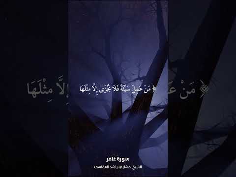 ياقوم إنما هذه الحياة الدنيا متاع الشيخ مشاري راشد العفاسي قرآن قران كريم مشاري العفاسي