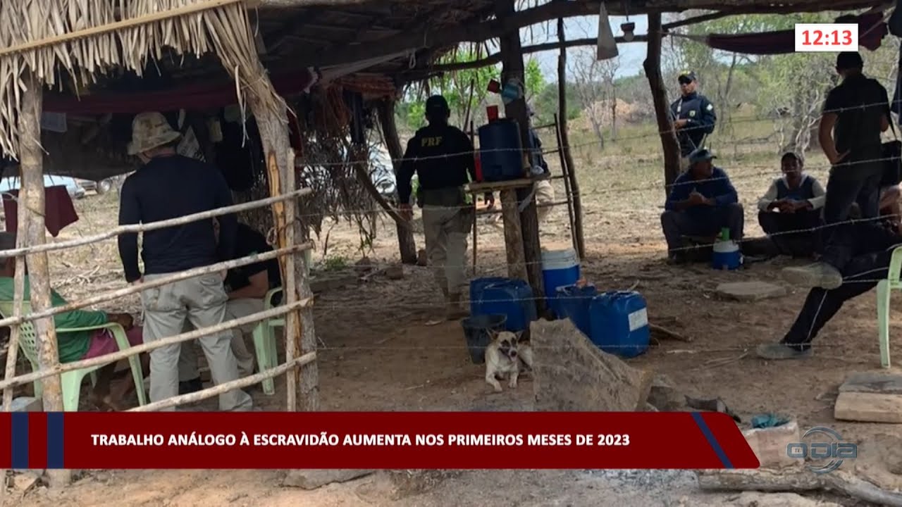 Trabalho análogo à escravidão aumenta nos primeiros meses do ano 15 05 2023