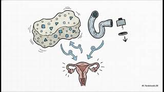 Can medications affect vaginal sensation? | WHC Clinical FAQ