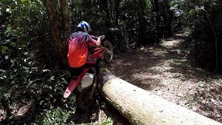 🇹🇹 170226 2 of 2 Trinidad Ride