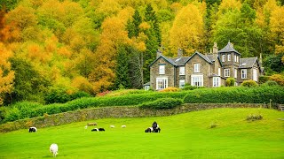 جنگل های دلربا پاییزی با موسیقی زیبای آرامش بخش 🍂 موسیقی آرام بخش برای کاهش استرس🍁 screenshot 4