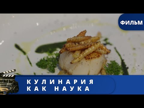 ЗАКУЛИСЬЕ НА КУХНЕ! НАУЧНО - ПОПУЛЯРНЫЙ СЕРИАЛ! Кулинария как наука. Серии 1 - 4 / (2020) /KINODRAMA