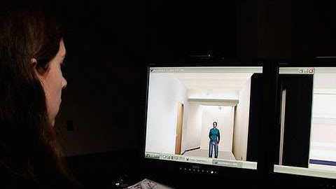 Your Avatar Can Influence Real-World Behavior