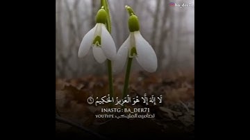 ارح سمعك.. مقاطع قرآن قصيرة بصوت جميل ارح قلبك تلاوة هادئة تريح القلب والعقل القارئ/ عبدا لرحمن مسعد