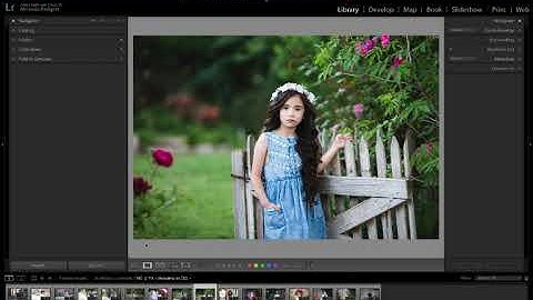 Lightroom Workspace Overview