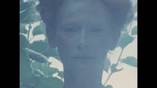 Tilda Swinton Stars in ‘Personal History,’ A Film by Tim Walker | W Magazine