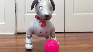 Aibo ERS1000 Doing Tricks with the Ball and Aibone