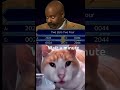 Meme cat