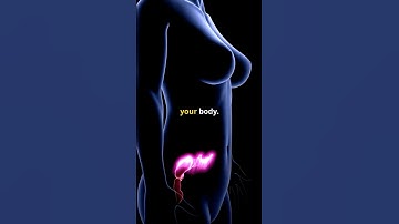 The BEST Form of Magnesium (Don’t Waste Your Money)