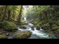 Peaceful Forest Stream Sounds with Morning Birds for Relaxation, Study & Insomnia