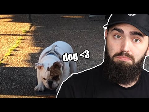 Any Rock or Metal Song About Pets IS WAY TOO SAD