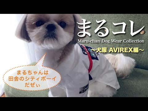 【シーズー】まるコレ Maru-chan Dog Wear Colllection　〜犬服 AVIREX編〜【066】