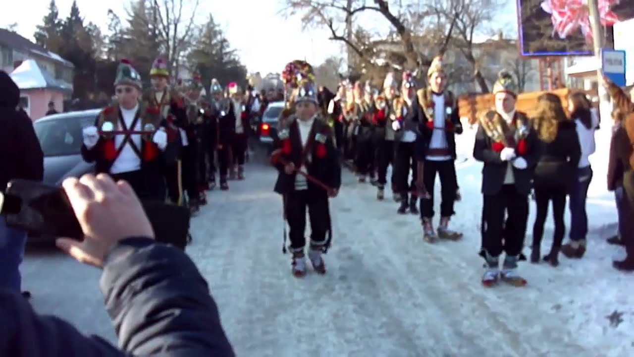 DATINI SI OBICEIURI COTNARI-CERB CARJOAIA 2015