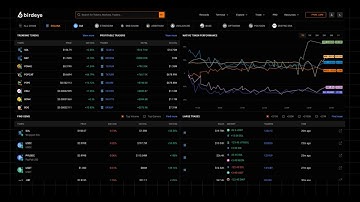 Birdeye V2: Fast Data, Sleek Interface | Crypto Trading Data For All