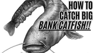 HOW TO Catch BIG Bank Catfish - THE Boatless Catfishing Guide
