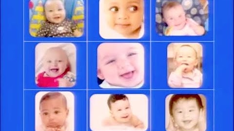 John Gabrieli: 2012 Seattle Brain Salon