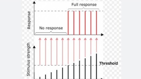 ALL OR NONE LAW OF MUSCLE CONTRACTION….