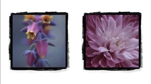 Quick Tips for the Lightroom Print Module