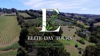 Gin Masterclass, Wine & Dine Tour