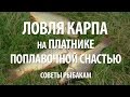 КАК на ПЛАТНИКЕ ЛОВИТЬ КАРПА на ПОПЛАВОК. ПЛАТНАЯ РЫБАЛКА в ПОДМОСКОВЬЕ