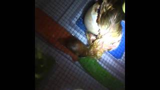 IMG 0000