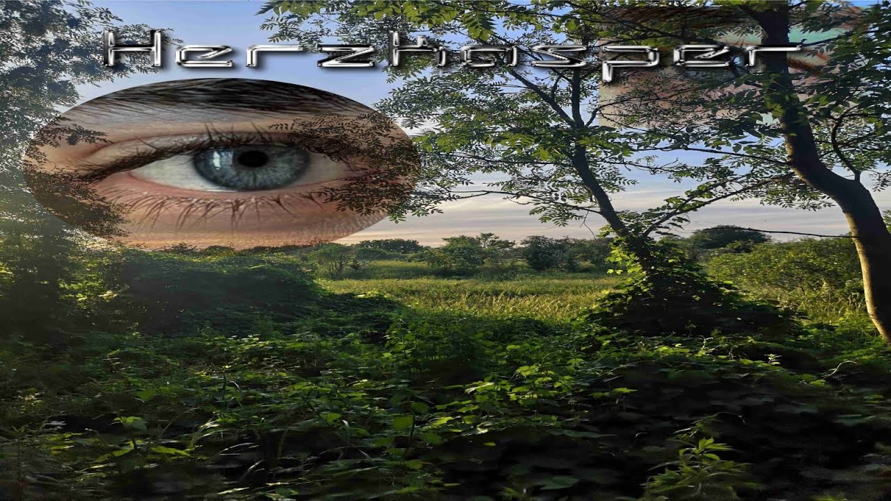 herzkasper vocal sound tutorial (extremer autotune effekt durch newtone)