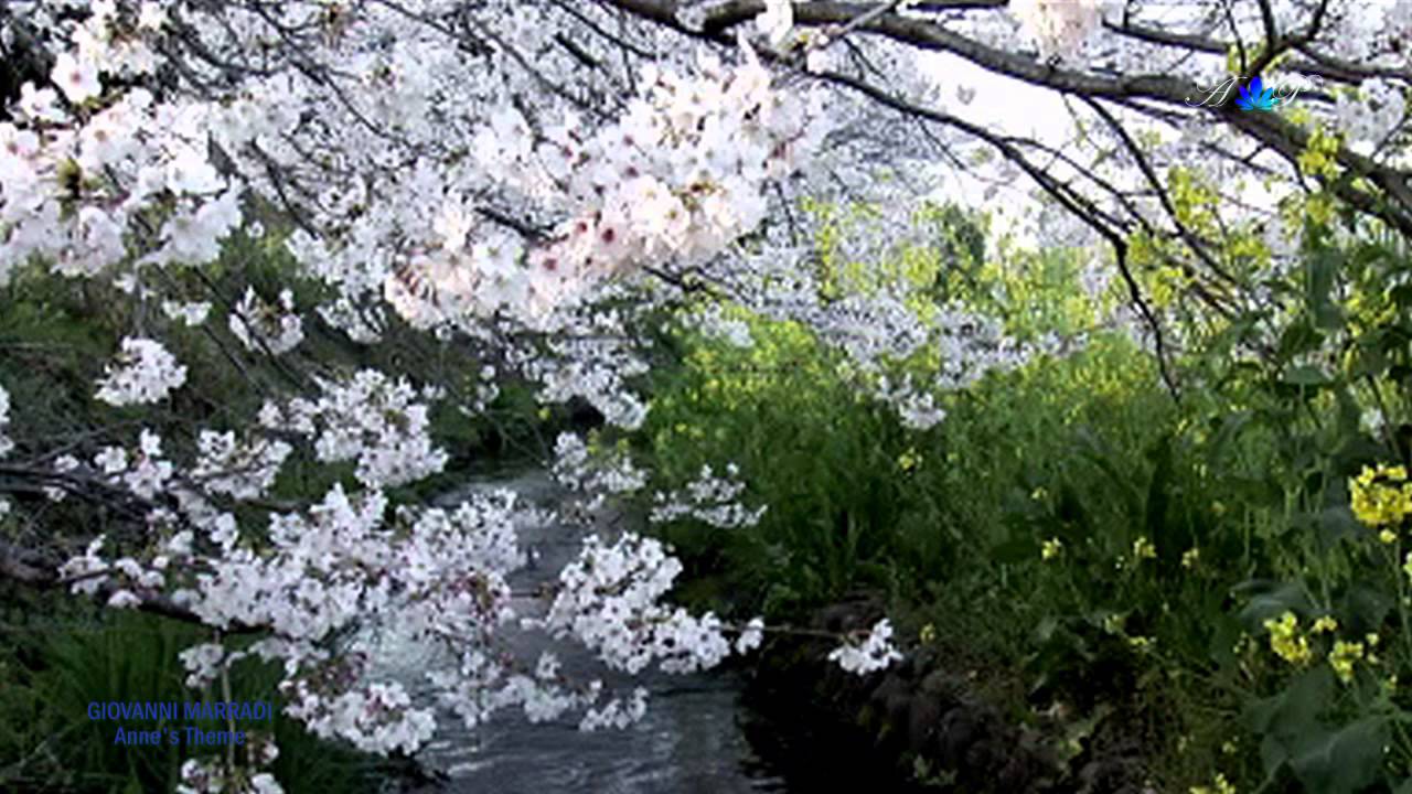 ♡ GIOVANNI MARRADI - Anne's Theme (Romantic piano music) - YouTube