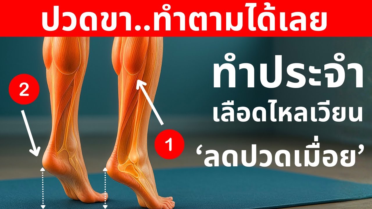 ปวดขายืนไม่ไหว ขาชา — ทำท่านี้เป็นประจำ ช่วยให้เลือดไหลเวียนถึงปลายเท้า | สุขภาพผู้สูงวัย