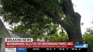 NES speeds up tree trimming, announces underground power line pilot program